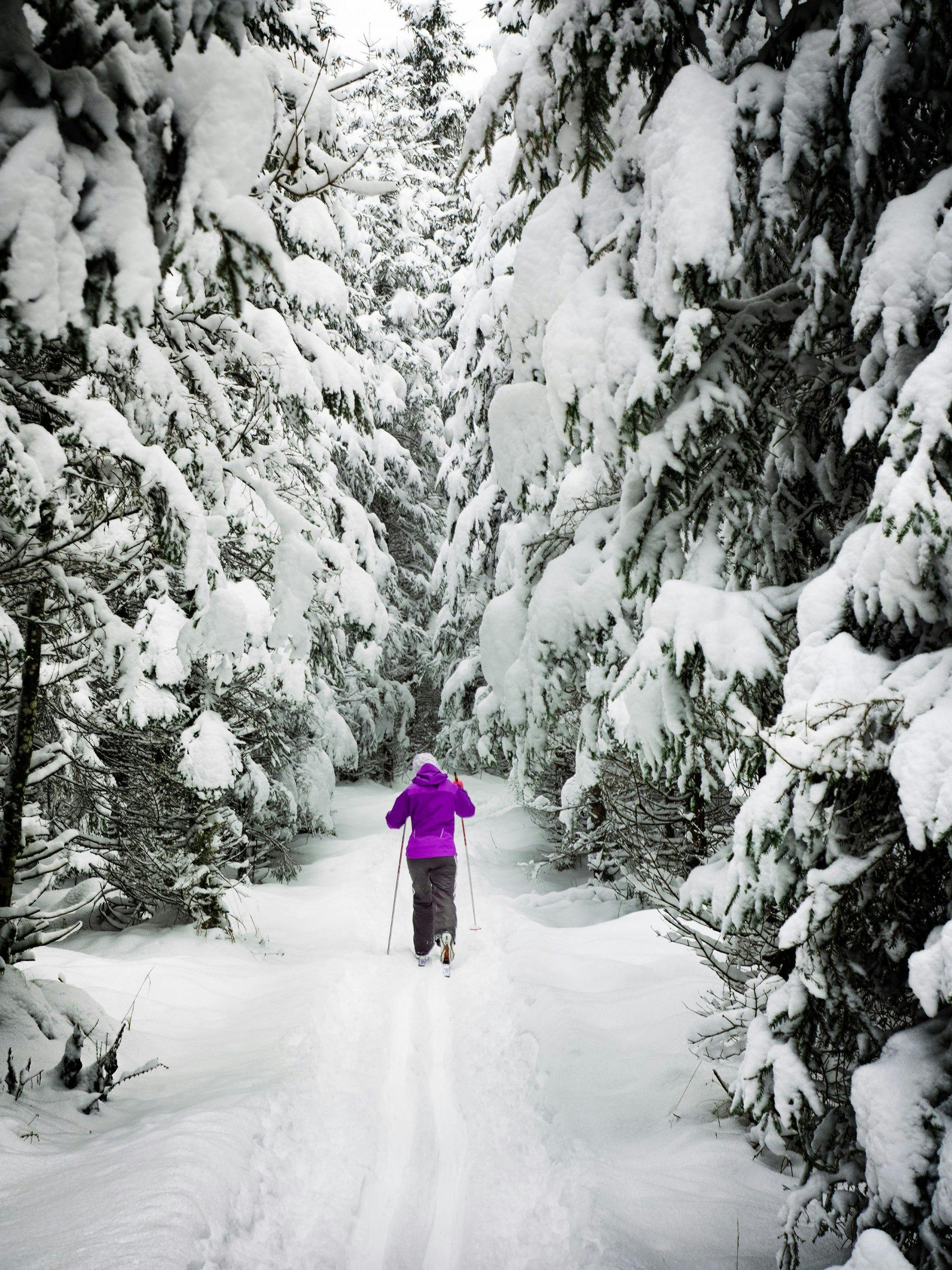 Bouger l'hiver | le ski de fond