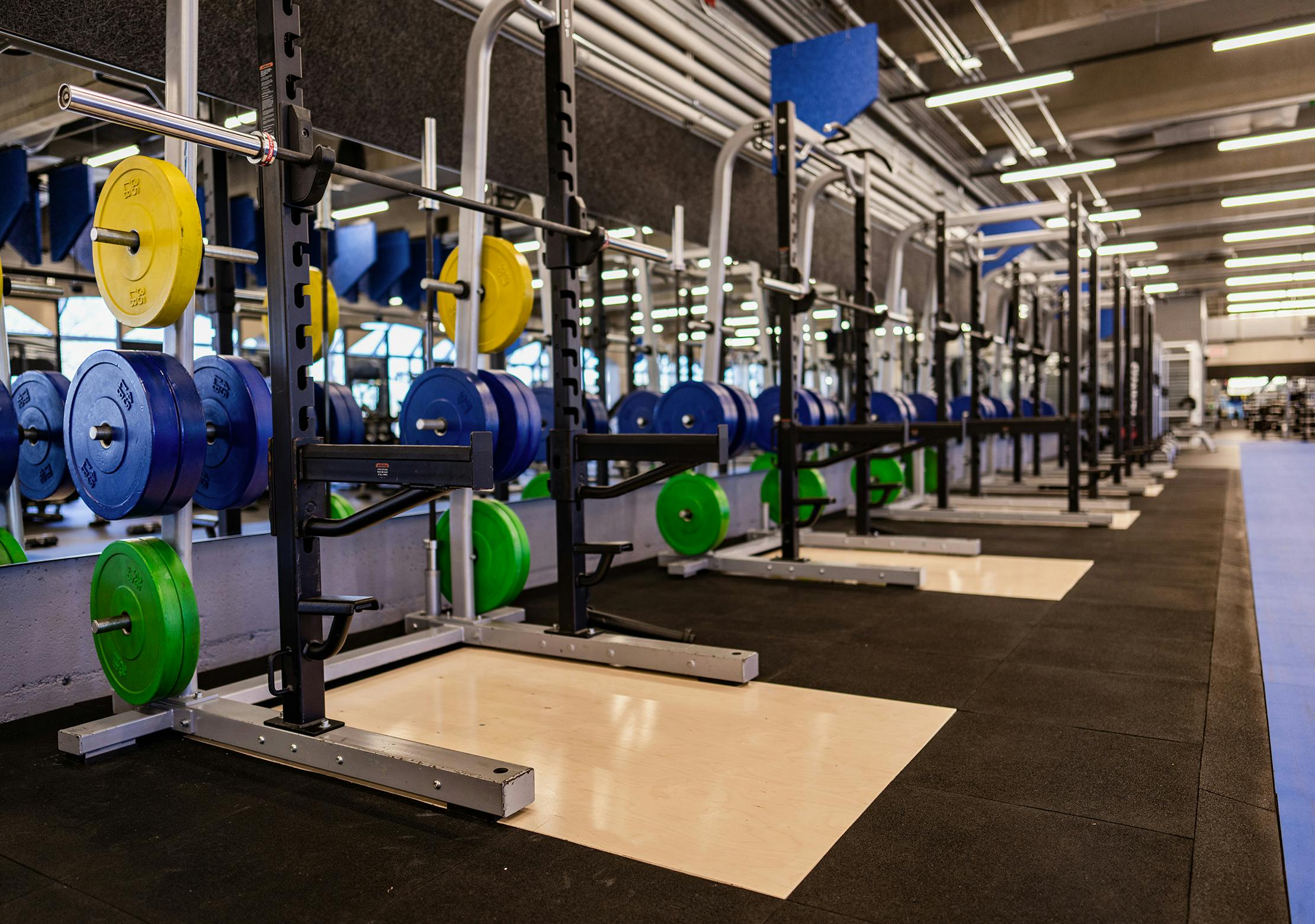 Salle d'entrainement - Zone poids et liftings | CEPSUM