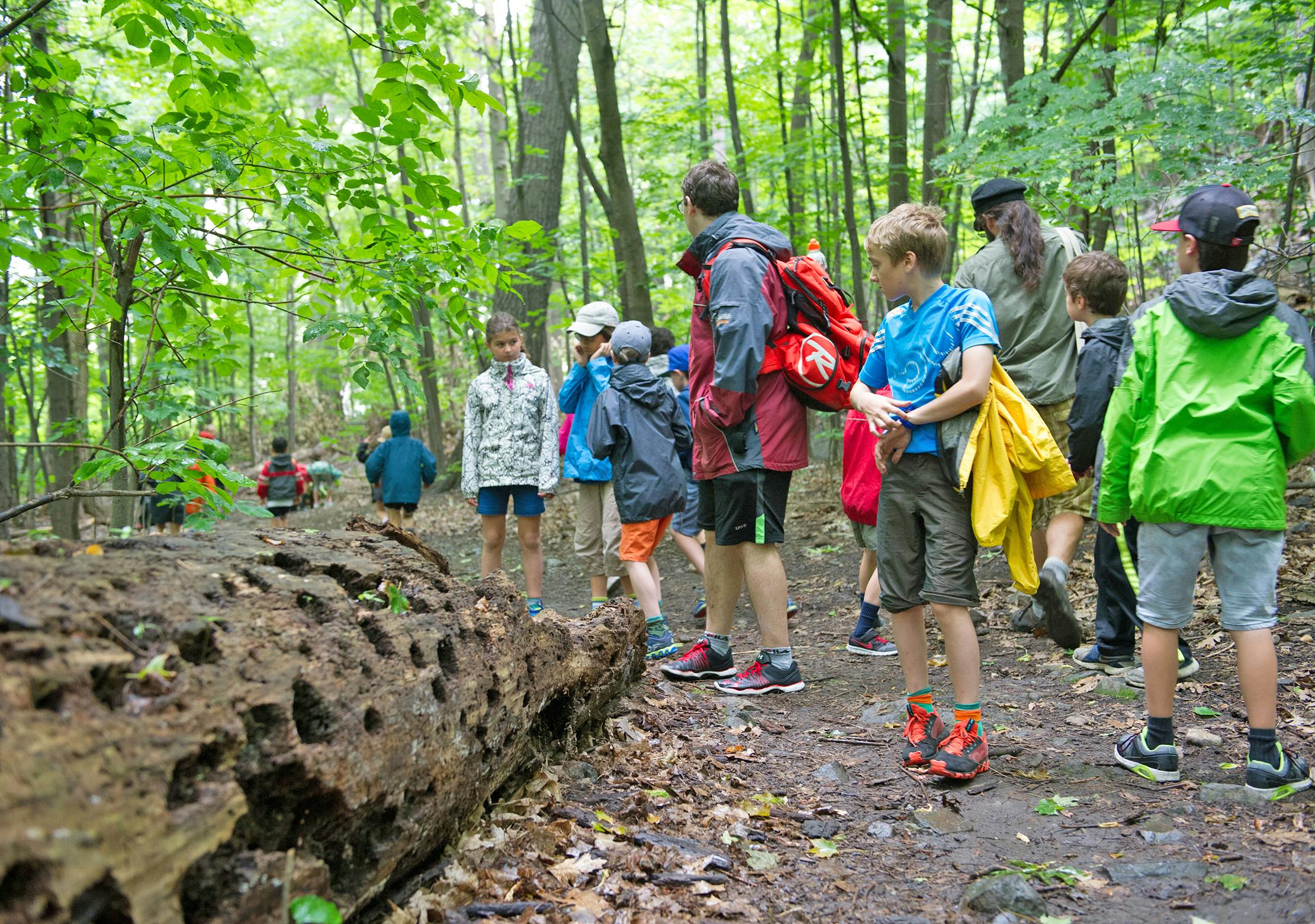 Camp biodivserité 8 et 9 ans - Camps de jour CEPSUM