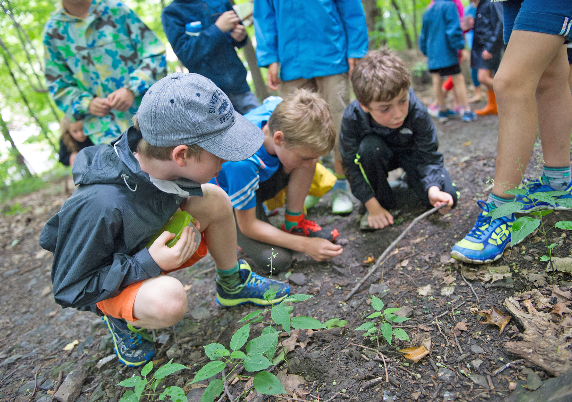 Camp Bandes Dessinees 12 A 15 Ans Cepsum