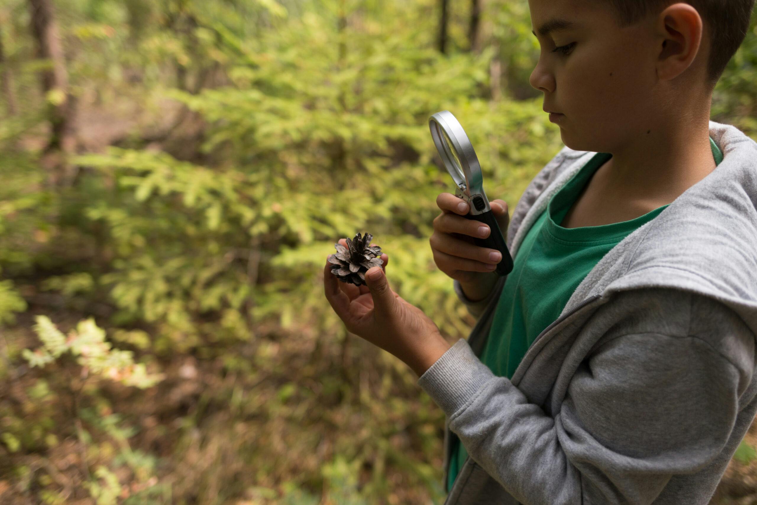 Camp biodiversité 10 à 12 ans | Camps de jour du CEPSUM