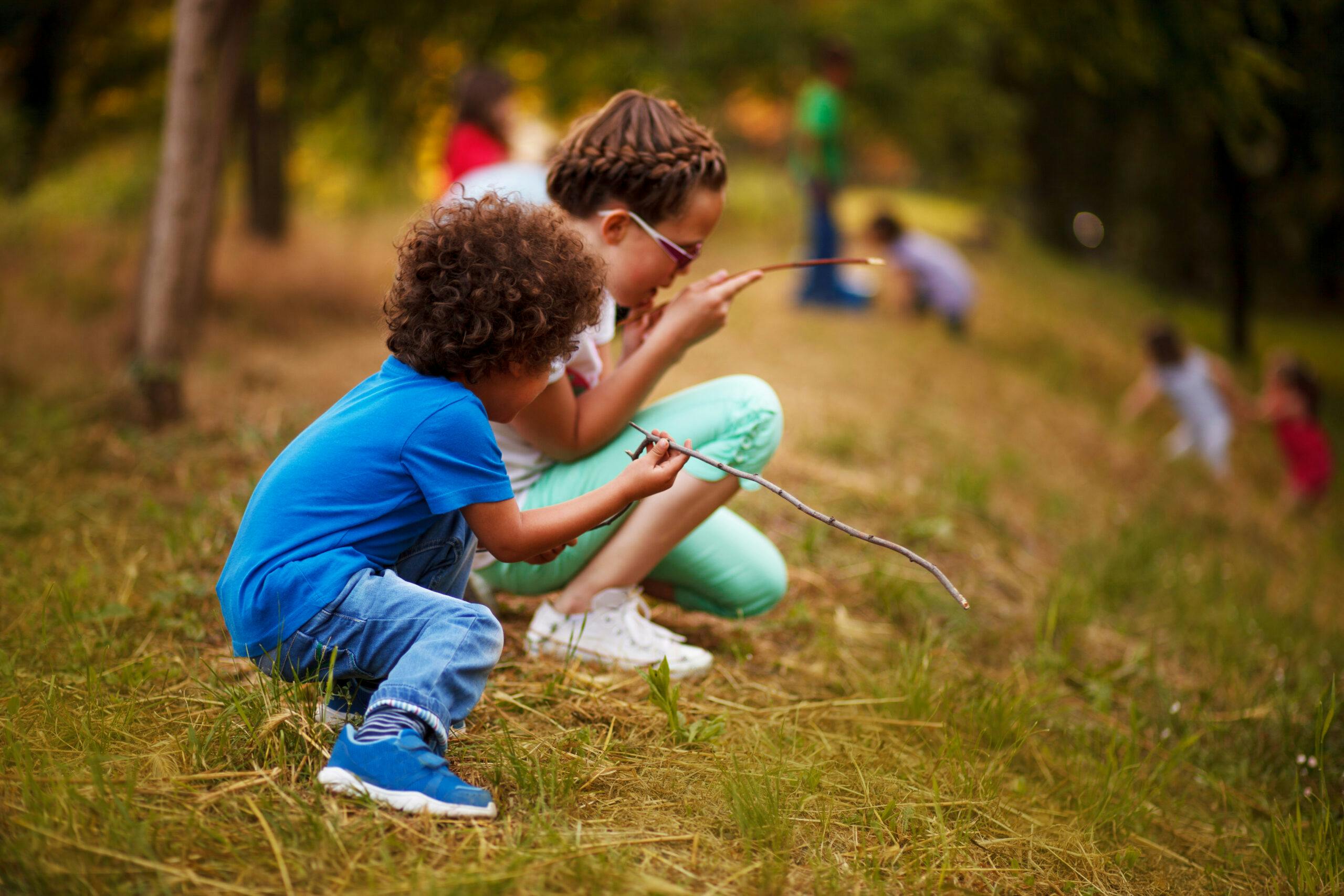 Camp biodiversité 8 et 9 ans | Camps de jour du CEPSUM